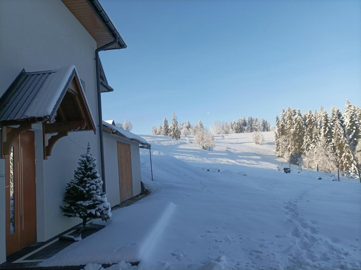 Wierchowe Apartamenty Lesnica  Экстерьер фото
